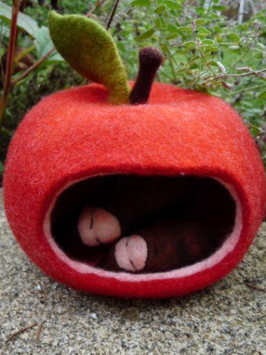 apfelkernchen schlafen ganz